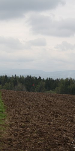 2013 Svojek Mirek Topinka